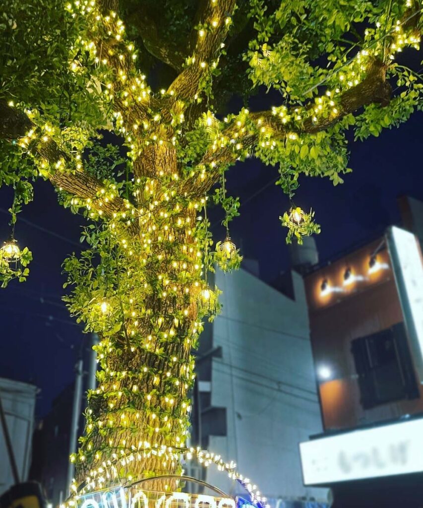 野毛商店街（野毛小路）<br>（神奈川県横浜市）のイルミネーション施工例
