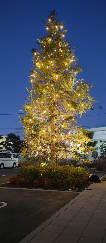 特別養護老人ホーム ケアイン博多<br>（福岡県福岡市）のイルミネーション施工例