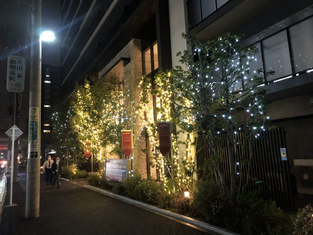 シテイーテラス八千代緑ヶ丘<br>（千葉県八千代市）のイルミネーション施工例