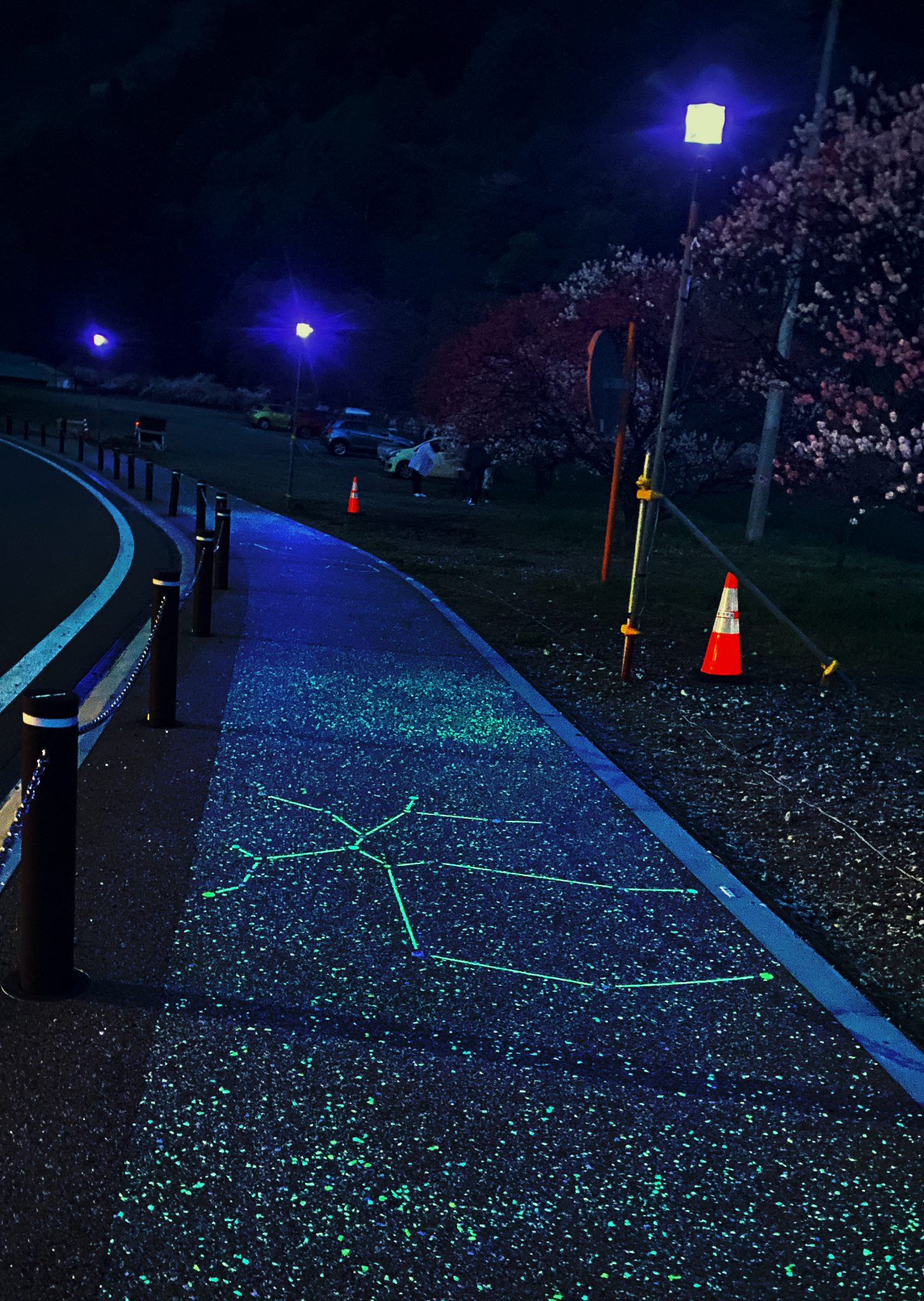 星空歩道<br>（長野県下伊那郡）のイルミネーション施工例