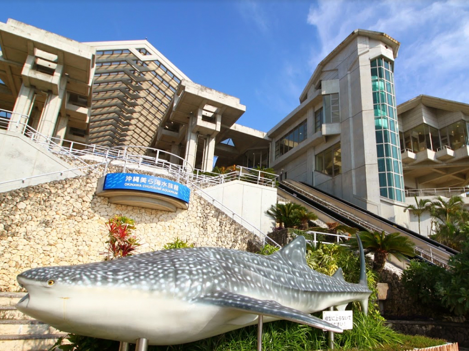 沖縄美ら海水族館<br>（沖縄県国頭郡）のイルミネーション施工例