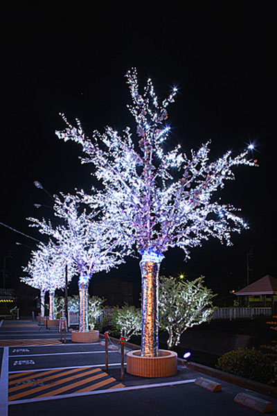 丸之内商事㈱  ジャンボ丸之内店 2006<br>（愛媛県宇和島市）のイルミネーション施工例