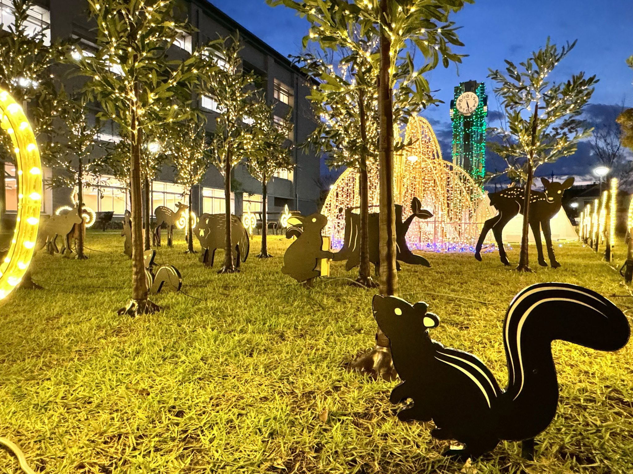 獨協大学<br> (埼玉県草加市)のイルミネーション施工例