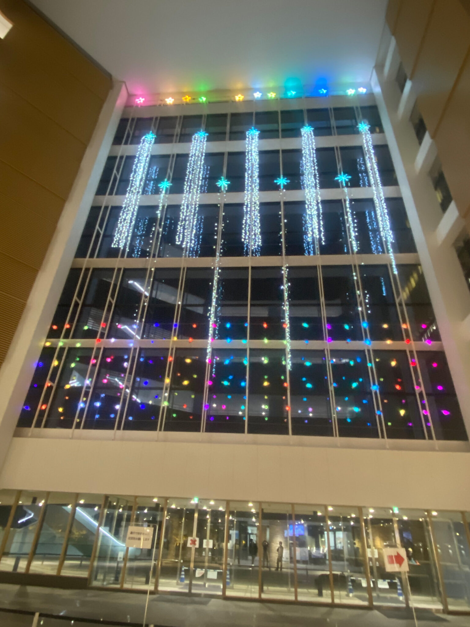 帝京大学八王子キャンパス 2025<br> (東京都八王子市)のイルミネーション施工例