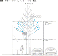 樹木イルミネーションの施工についての画像18