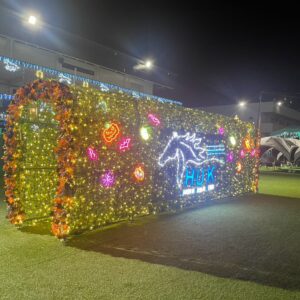 秋色の装飾とLEDで彩ったハロウィンイルミネーショントンネル
