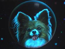 ブラックライトの画像66
